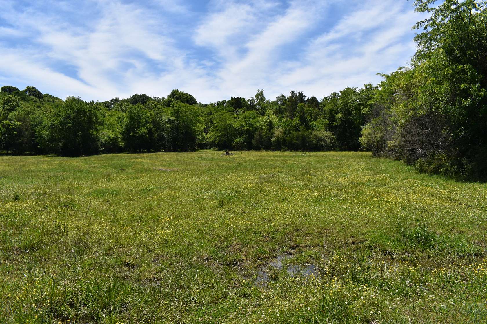 57 Acres of Land for Sale in Lewisburg, Tennessee