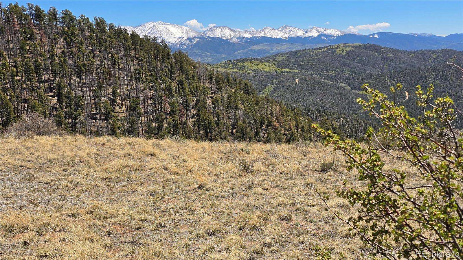 13.7 Acres of Land for Sale in Fort Garland, Colorado