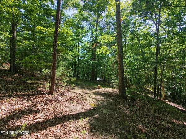 2 Acres of Residential Land for Sale in Newport, Tennessee