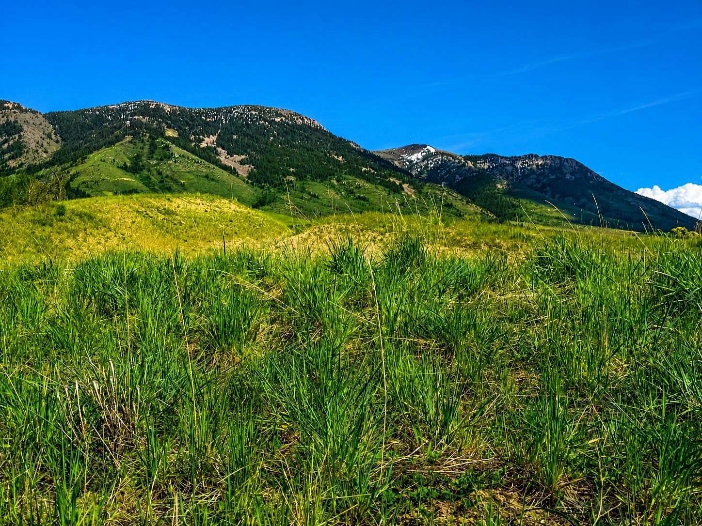 2.58 Acres of Residential Land for Sale in Inkom, Idaho
