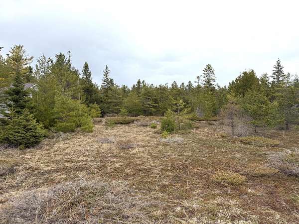 0.55 Acres of Land for Sale in Alpena, Michigan