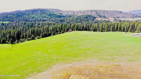 9.5 Acres of Land for Sale in Plummer, Idaho