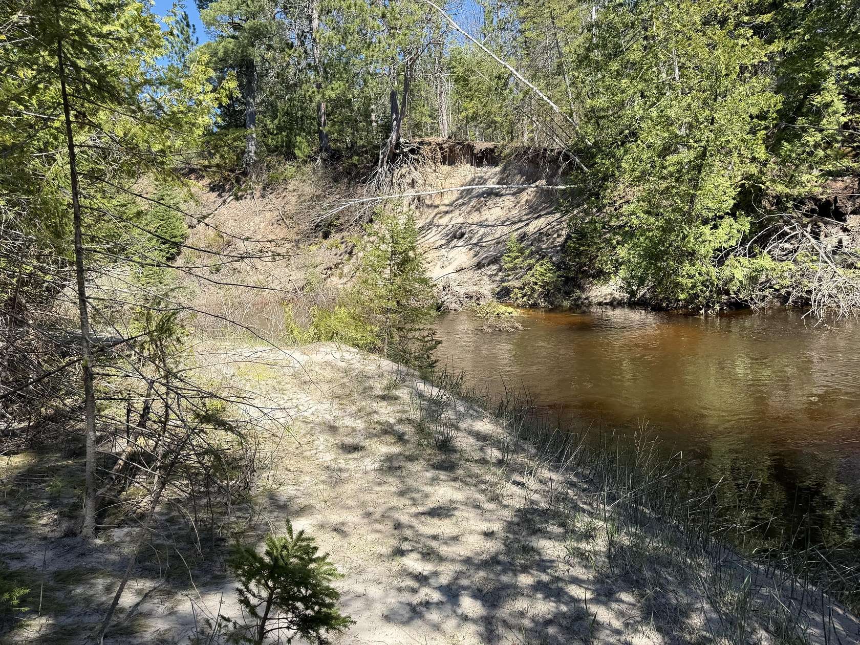 22.7 Acres of Recreational Land for Sale in Ocqueoc, Michigan