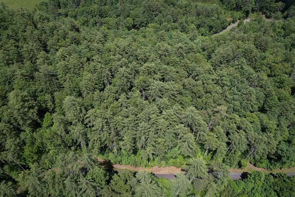 1 Acre of Residential Land for Sale in Hayesville, North Carolina