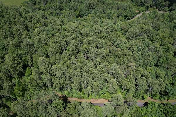 1 Acre of Residential Land for Sale in Hayesville, North Carolina