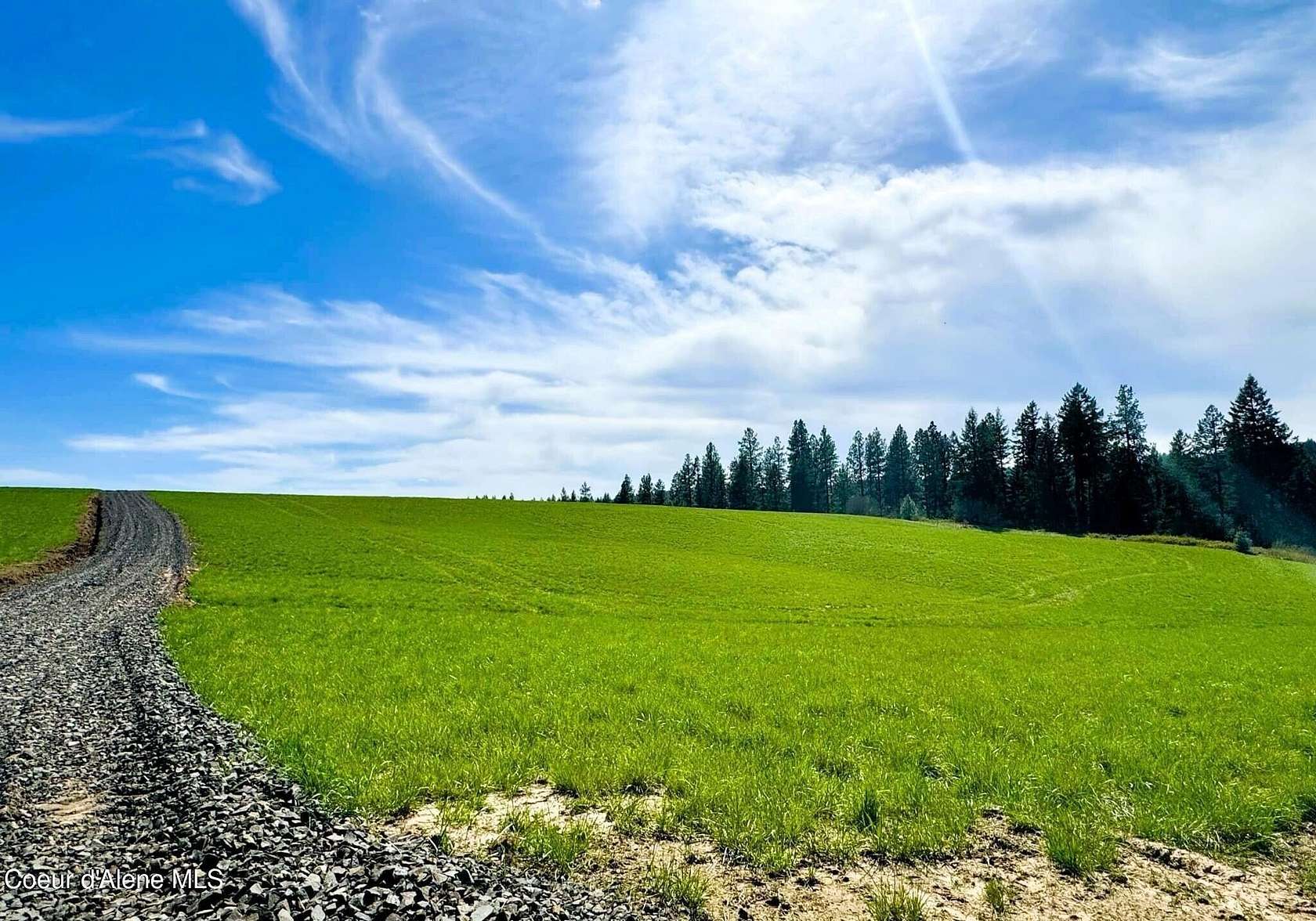 9.5 Acres of Land for Sale in Plummer, Idaho