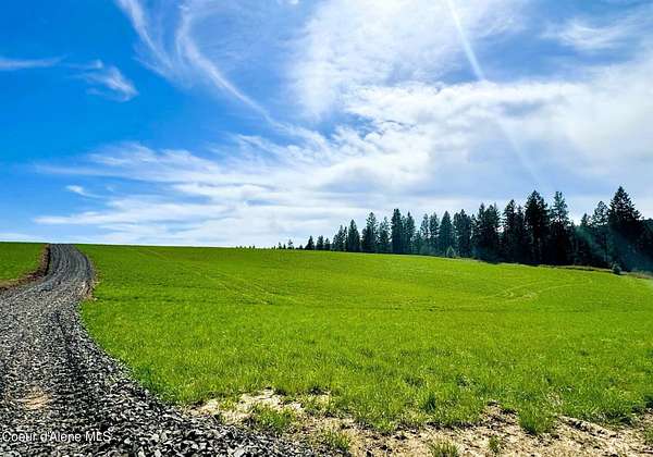 9.5 Acres of Land for Sale in Plummer, Idaho