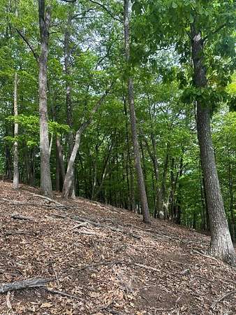 Residential Land for Sale in Murphy, North Carolina