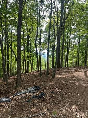 0.73 Acres of Residential Land for Sale in Murphy, North Carolina