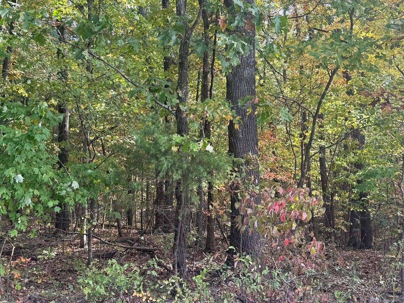 4.8 Acres of Land for Sale in Mountain Grove, Missouri