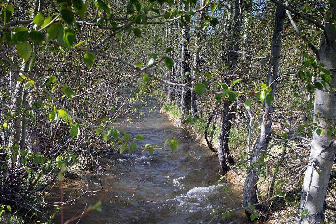 1.44 Acres of Residential Land for Sale in Red Lodge, Montana