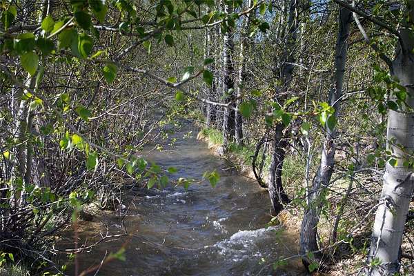 1.44 Acres of Residential Land for Sale in Red Lodge, Montana
