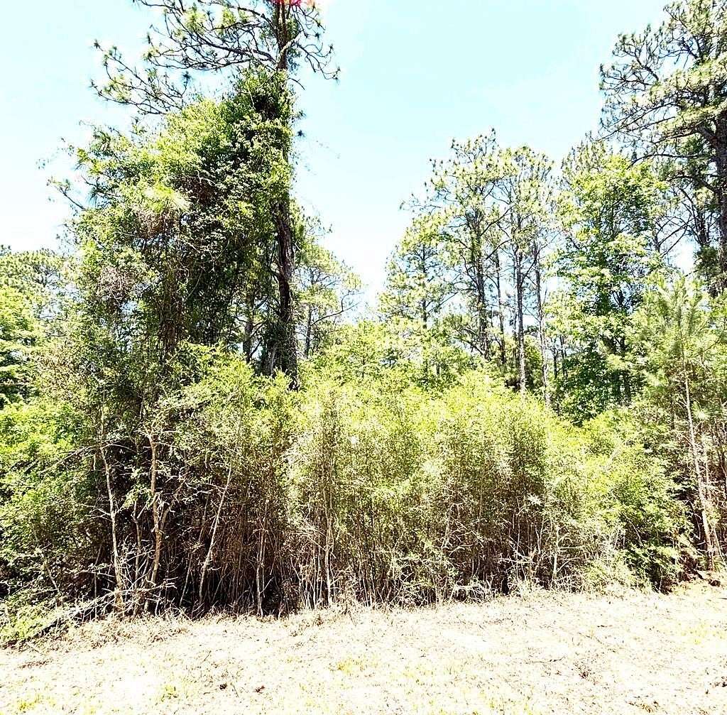 3.37 Acres of Mixed-Use Land for Sale in Brookeland, Texas