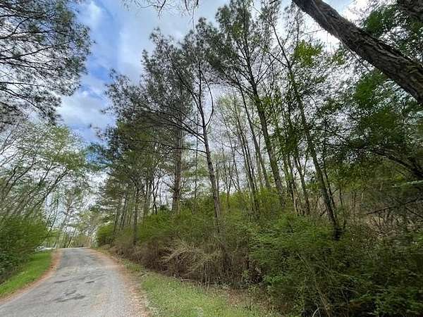 Land for Sale in Haleyville, Alabama