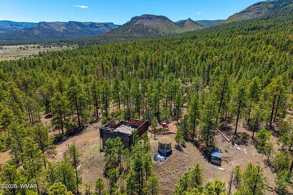 17.5 Acres of Recreational & Residential Land for Sale in Nutrioso, Arizona