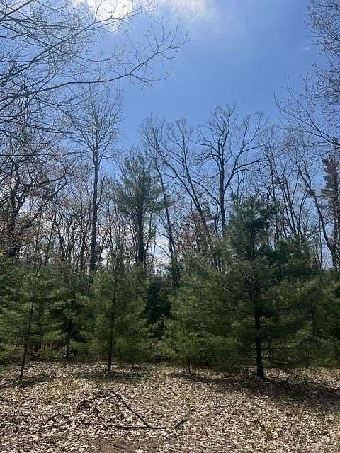 1 Acre of Residential Land for Sale in Indian River, Michigan
