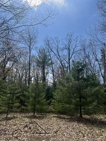 1 Acre of Residential Land for Sale in Indian River, Michigan