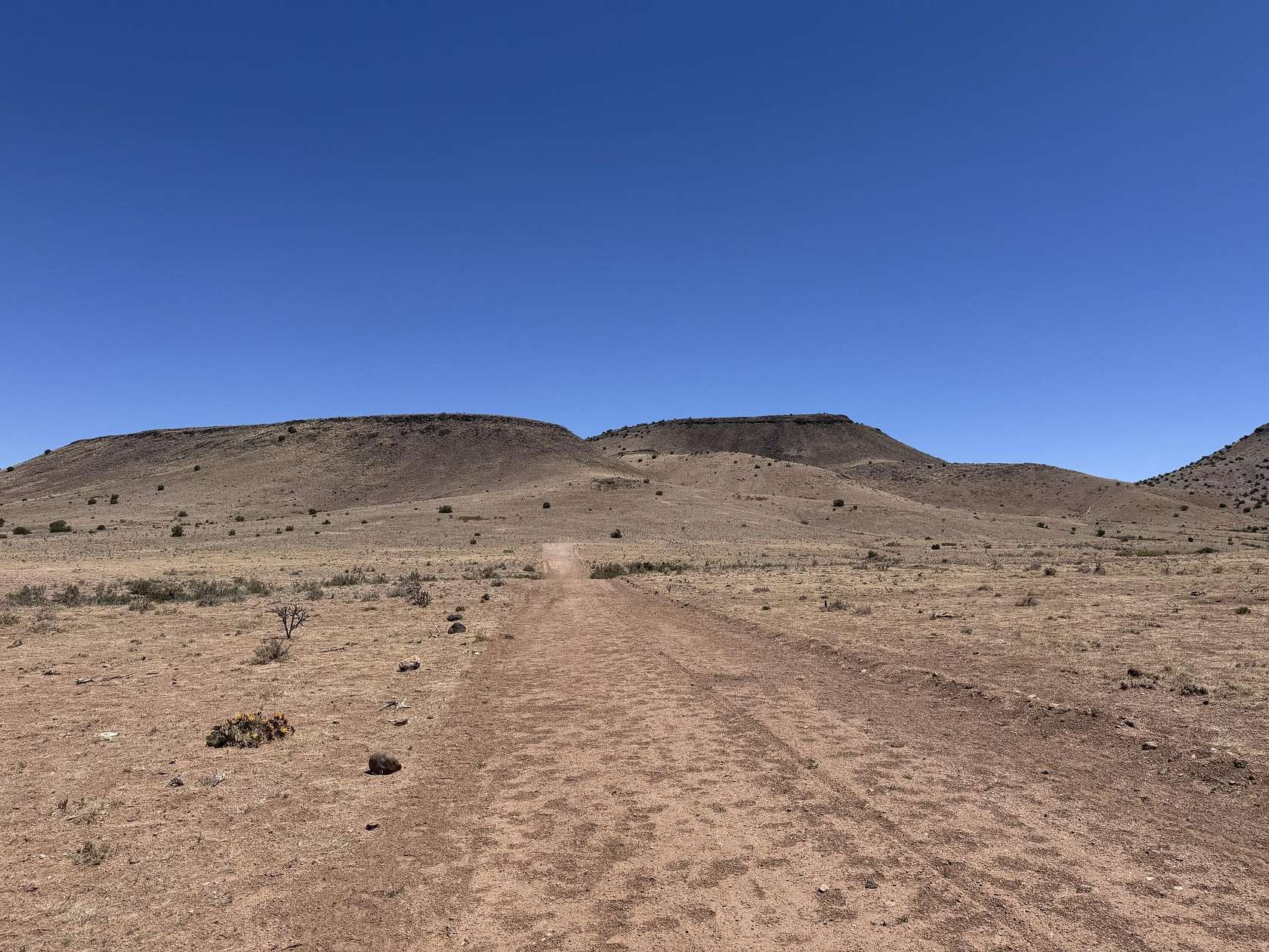 173 Acres of Land for Sale in San Antonio, New Mexico