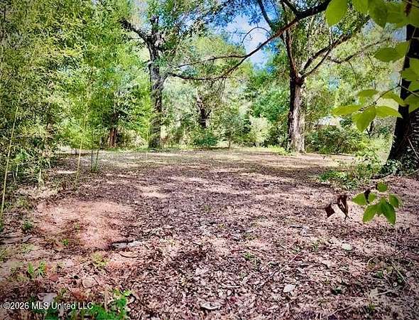 1 Acre of Residential Land for Sale in Ocean Springs, Mississippi