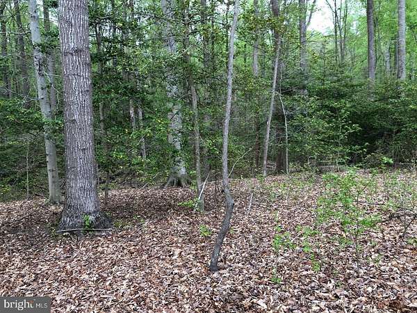 6.39 Acres of Land for Sale in White Plains, Maryland