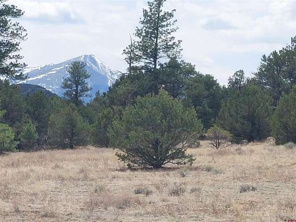 5 Acres of Residential Land for Sale in Cotopaxi, Colorado