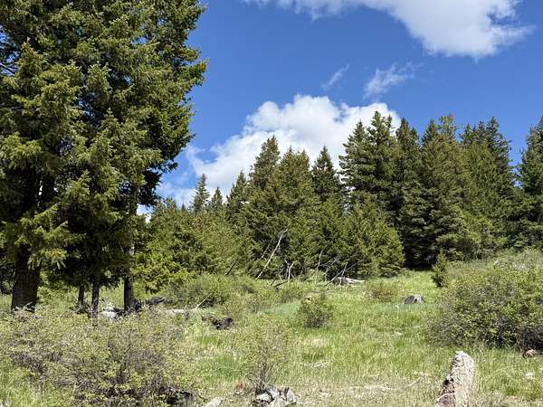 153 Acres of Recreational Land for Sale in Wauconda, Washington