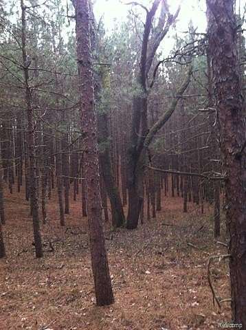 10 Acres of Recreational & Residential Land for Sale in Chase Township, Michigan