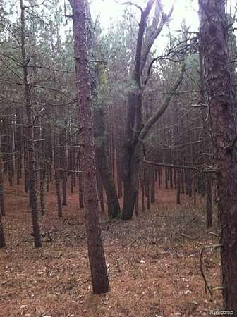 10 Acres of Recreational & Residential Land for Sale in Chase Township, Michigan