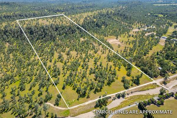29.7 Acres of Recreational & Residential Land for Sale in Oak Run, California