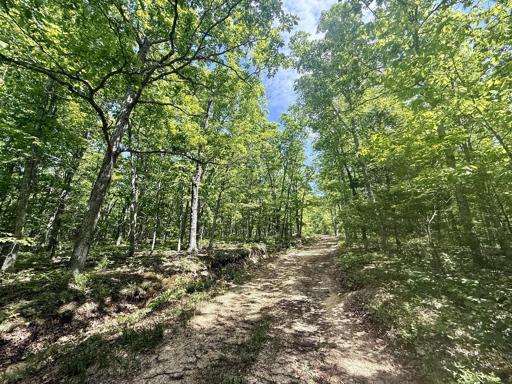 80 Acres of Recreational Land for Sale in Licking, Missouri