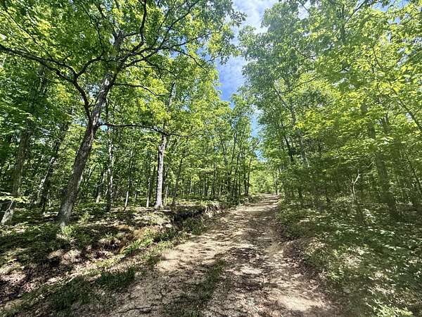 80 Acres of Recreational Land for Sale in Licking, Missouri