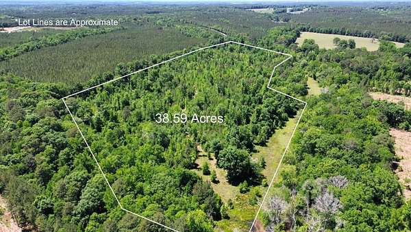 38.5 Acres of Agricultural & Residential Land for Sale in Greensboro, Georgia