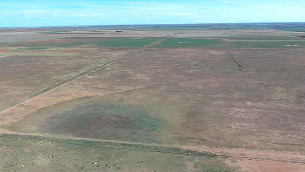 72.2 Acres of Agricultural Land for Sale in Slaton, Texas