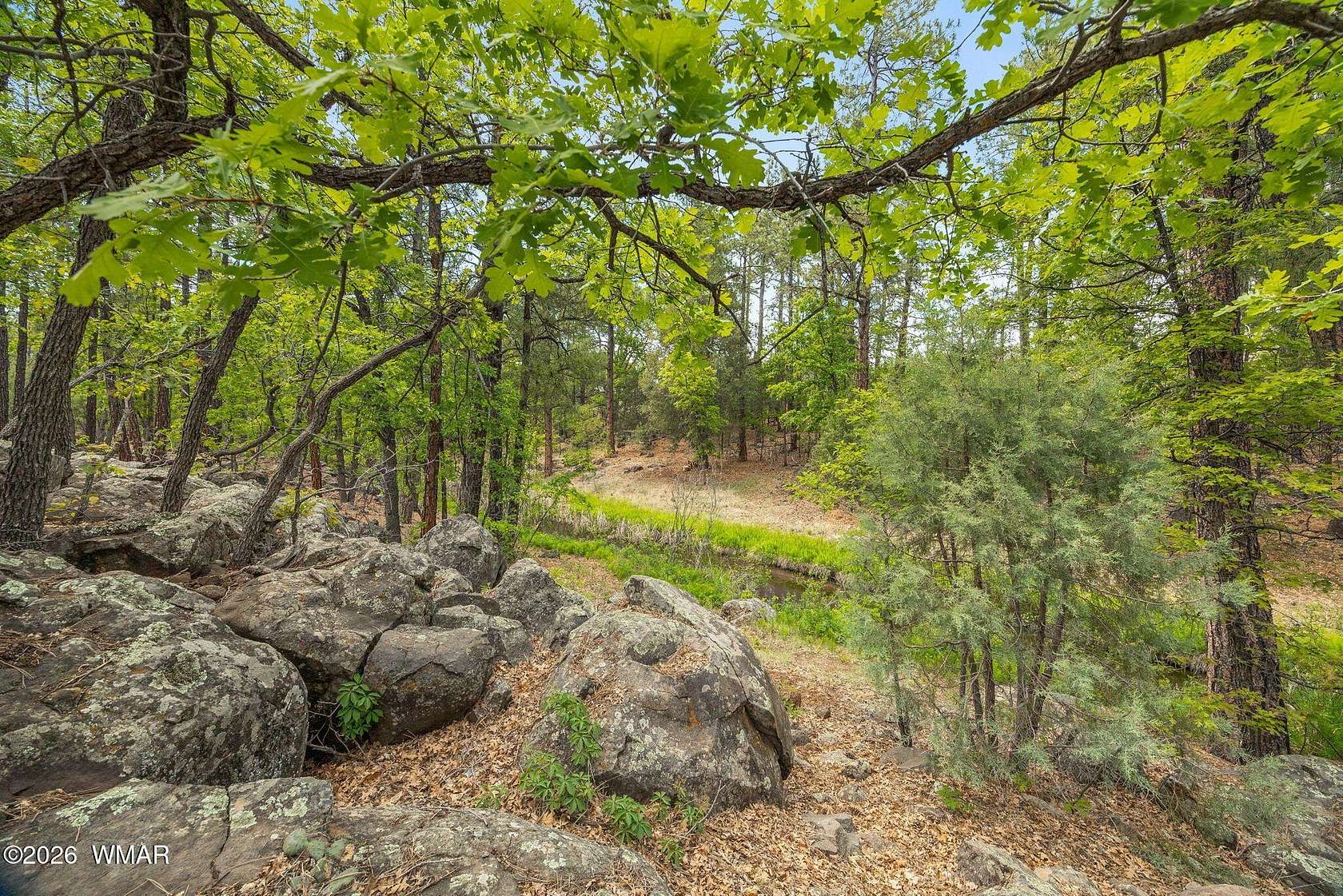 0.3 Acres of Residential Land for Sale in Lakeside, Arizona