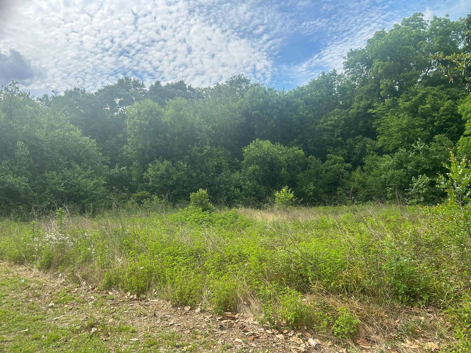 0.62 Acres of Land for Sale in Hartford, Alabama