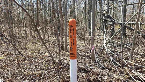 0.54 Acres of Land for Sale in Mancelona, Michigan