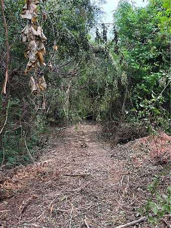 157 Acres of Land for Sale in Valley, Alabama