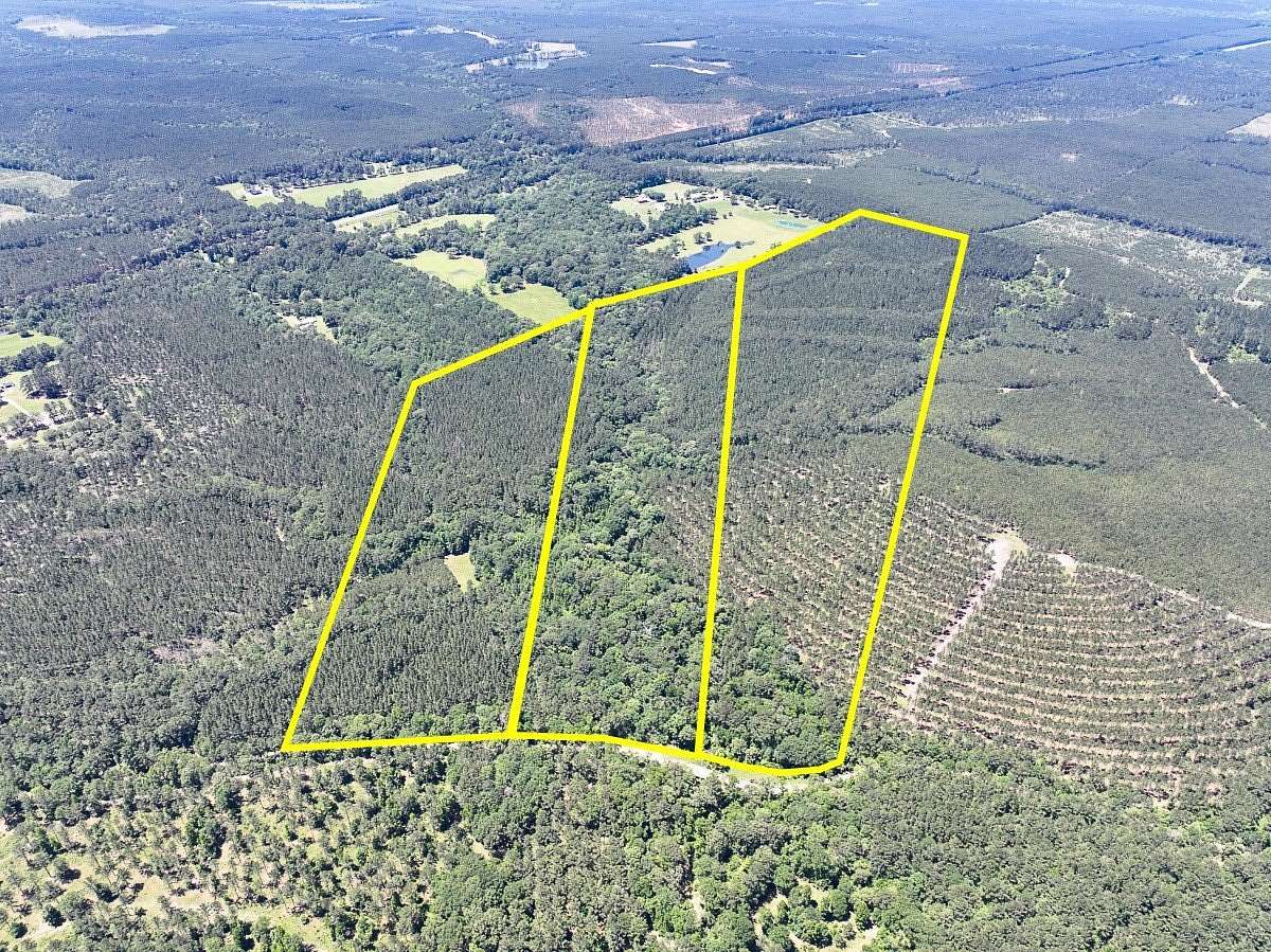 84 Acres of Recreational Land for Sale in Corrigan, Texas