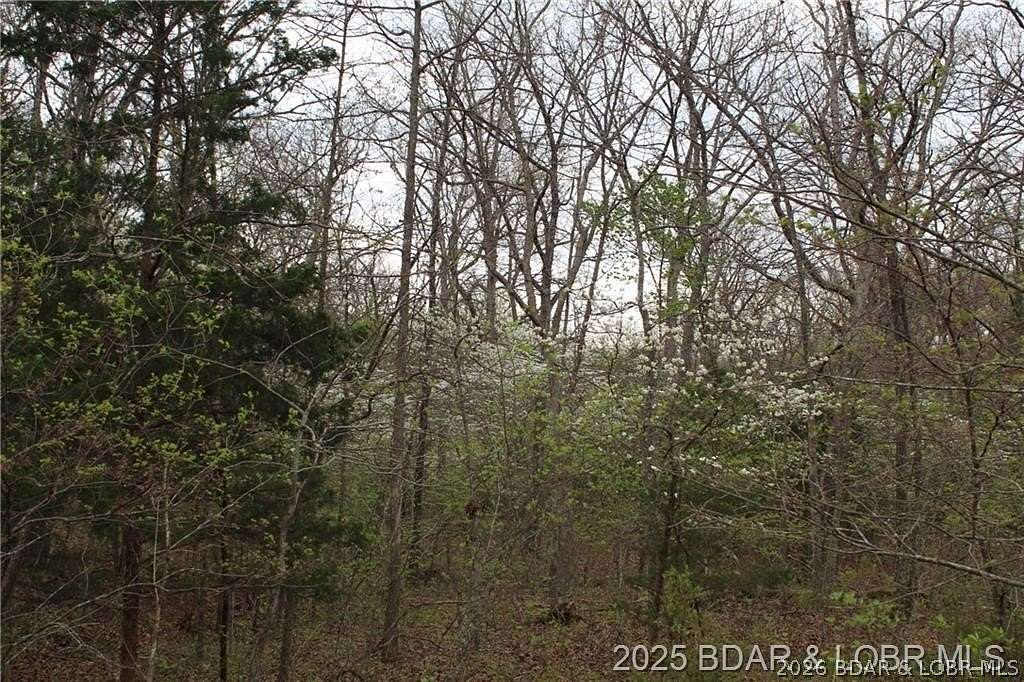 10.8 Acres of Recreational & Residential Land for Sale in Gravois Mills, Missouri