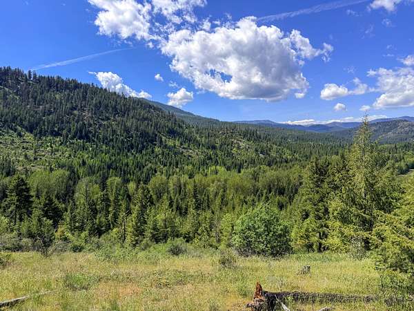 234 Acres of Recreational & Residential Land for Sale in Valley, Washington