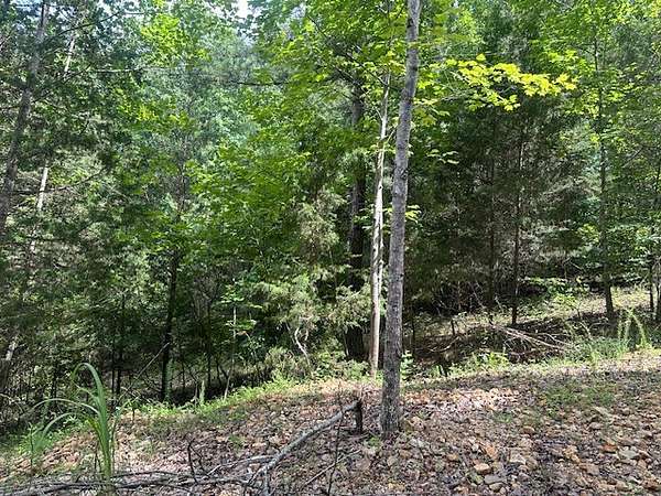 0.43 Acres of Residential Land for Sale in Nunnelly, Tennessee