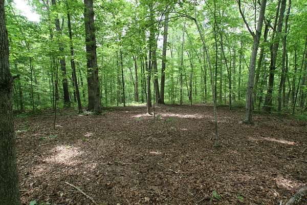 140 Acres of Recreational & Residential Land for Sale in Franklin, Tennessee