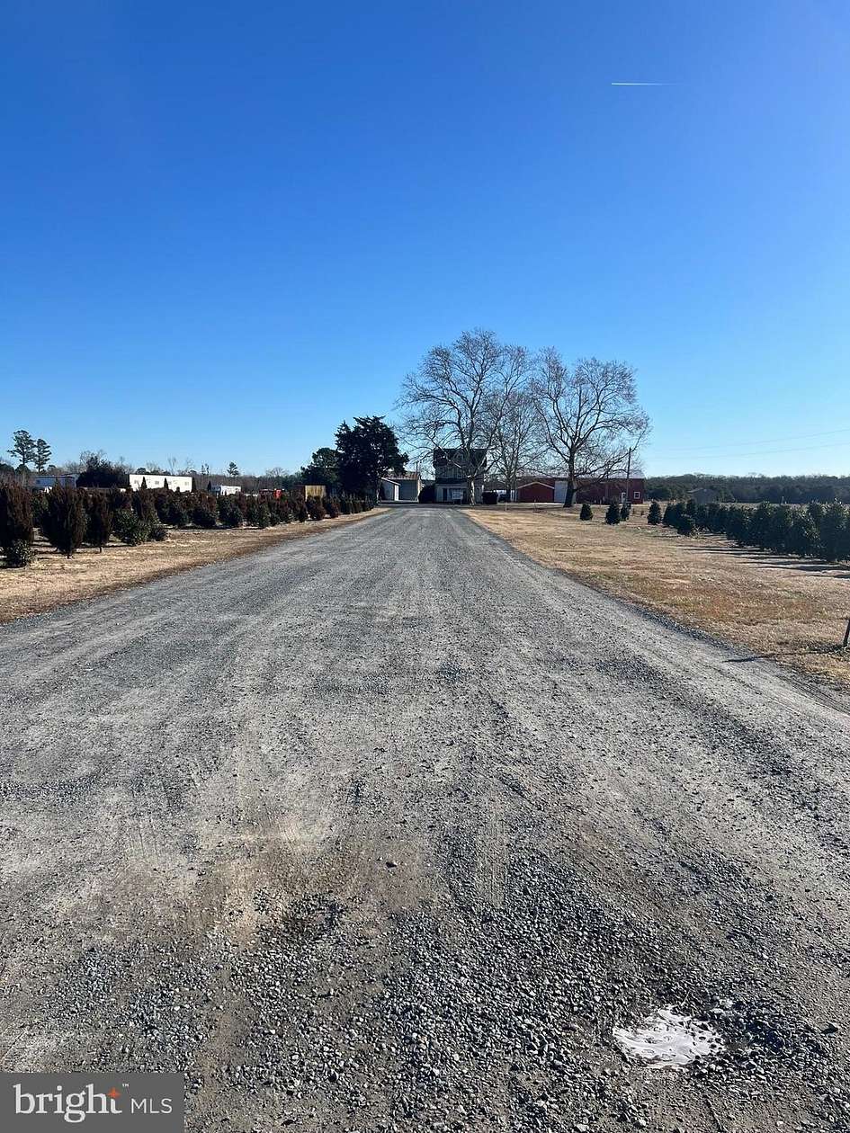 68 Acres of Land for Sale in Delmar, Delaware