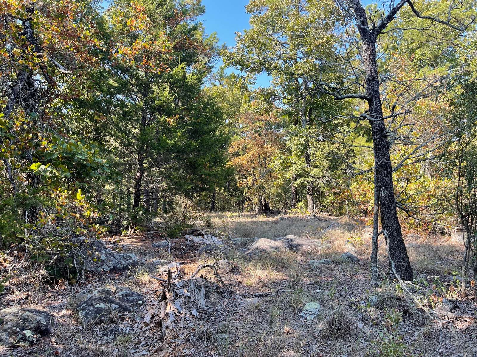 40.3 Acres of Land for Sale in Fort Towson, Oklahoma