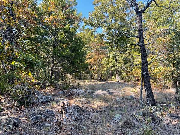 40.3 Acres of Land for Sale in Fort Towson, Oklahoma
