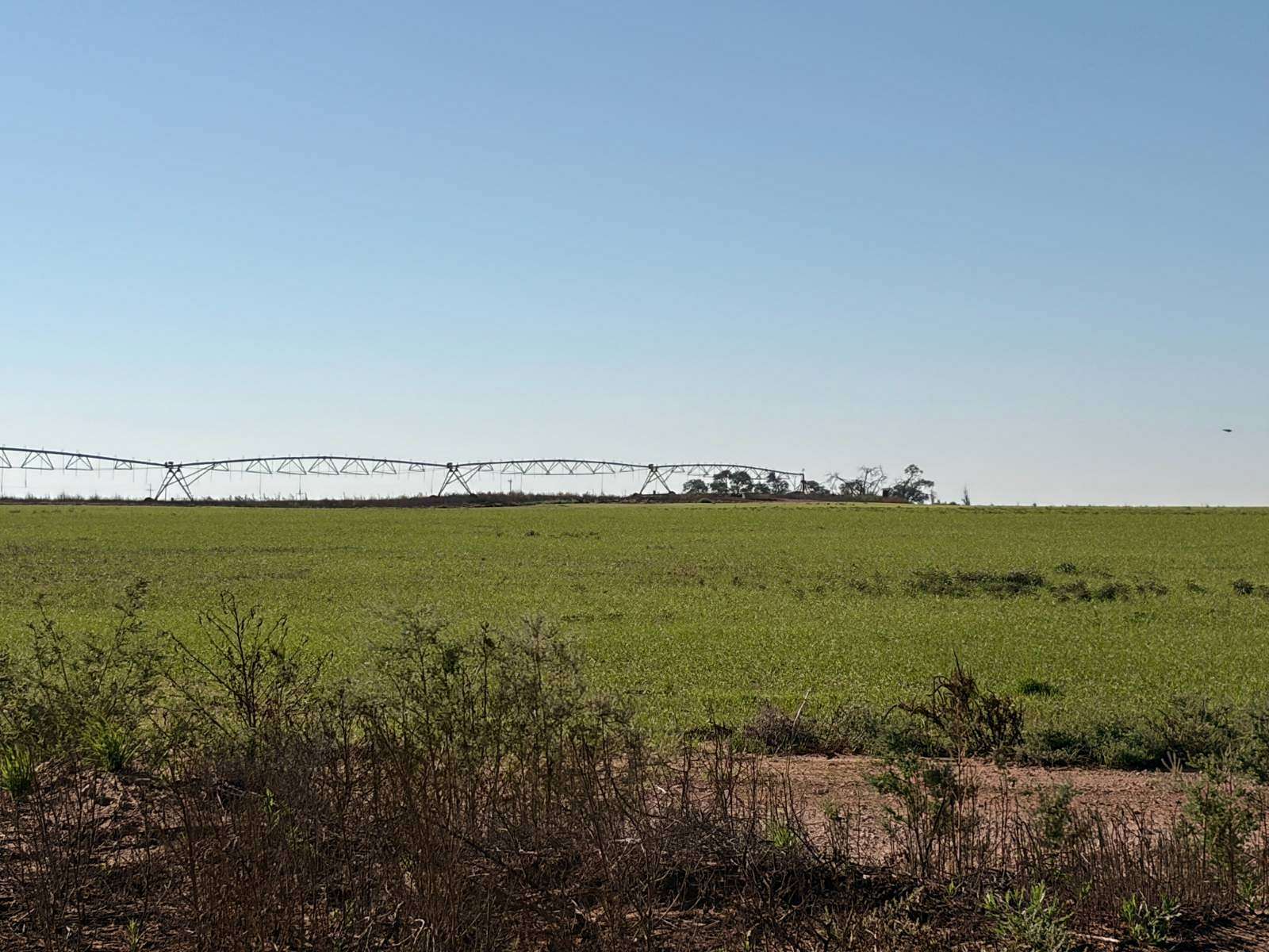 480 Acres of Agricultural Land for Sale in Texico, New Mexico