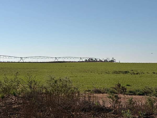 480 Acres of Agricultural Land for Sale in Texico, New Mexico