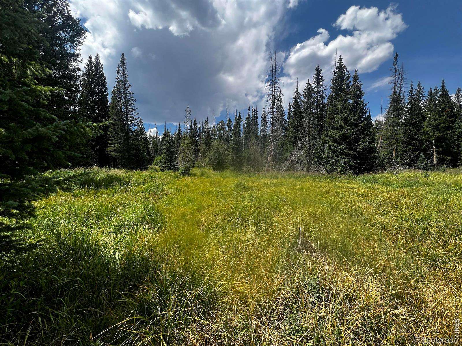 72.5 Acres of Recreational Land for Sale in Red Feather Lakes, Colorado
