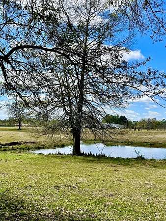 41.3 Acres of Land with Home for Sale in Lufkin, Texas