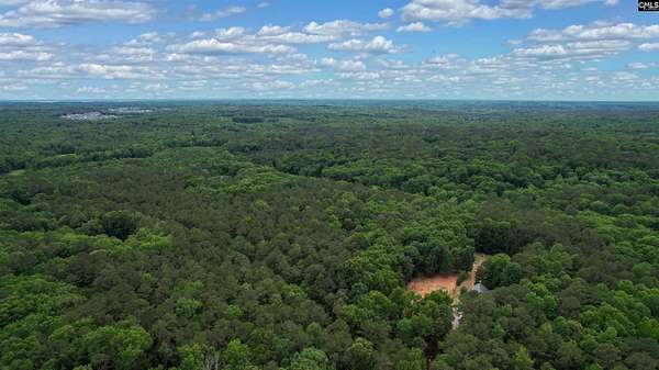 10.1 Acres of Recreational Land with Home for Sale in Little Mountain, South Carolina